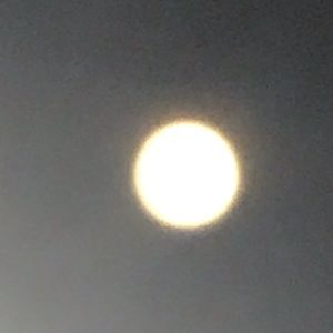 Meet your Posher, Larry